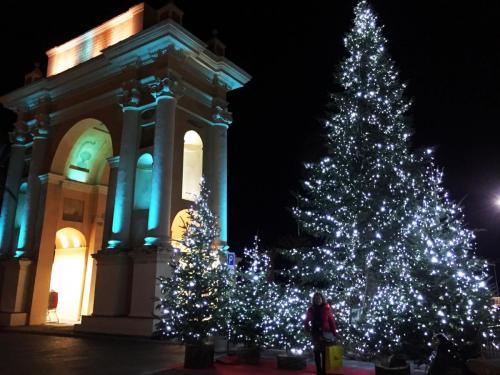 Alberi e addobbi