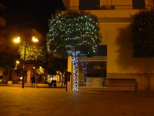 albero-luminarie-chioma