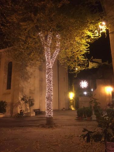 albero-tronco-luminarie