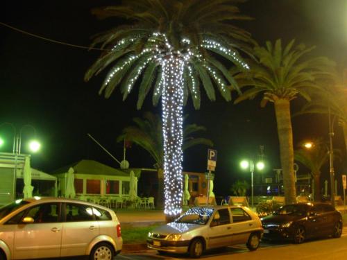 palma-luminarie-strada