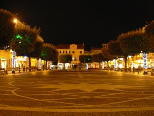 piazza-alberi-luminarie