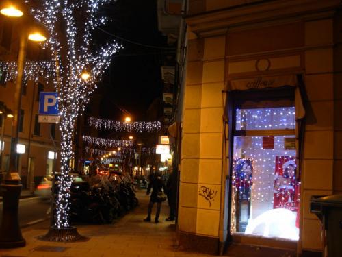 via-luminarie-alberi-vetrine