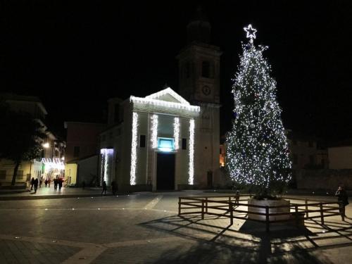 albero-natale-facciata-luminarie