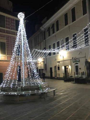 albero_bianco (2)